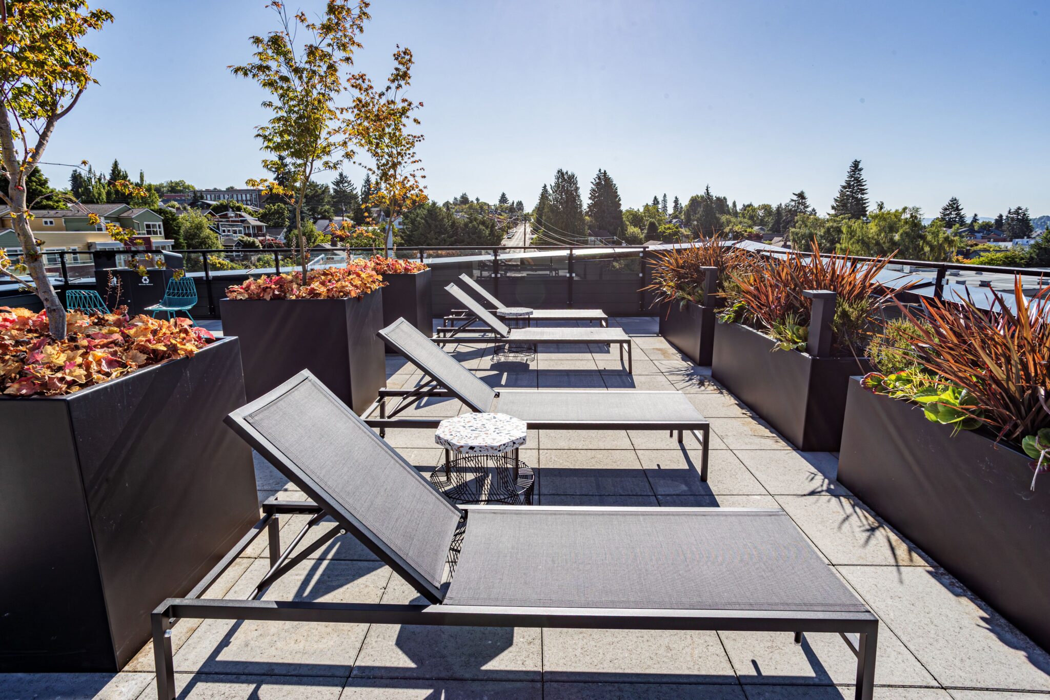 Reed seattle - tanning chaselongs on the rooftop deck