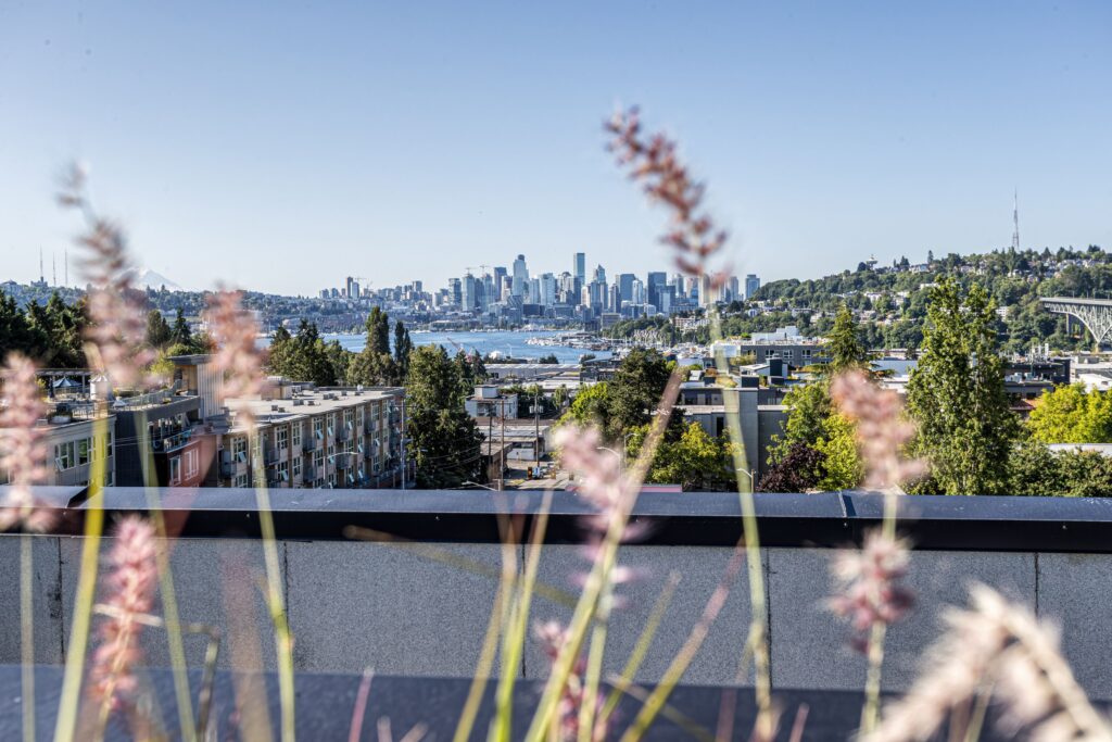 Reed seattle - view from rooftop deck