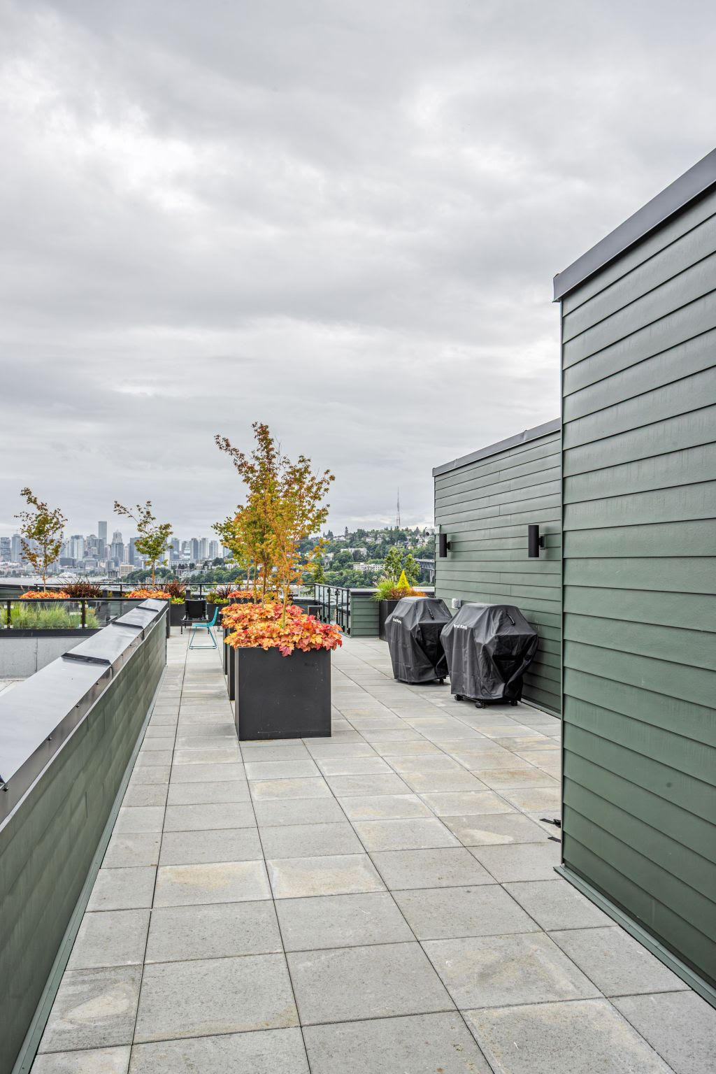 Reed seattle - view from the rooftop deck with outdoor grills and seattle skyline
